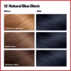Revlon Colorsilk Beautiful Color, Natural Blue Black, 1 Count